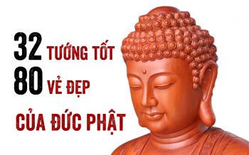 32 tướng tốt, 80 vẻ đẹp, 8 tướng Thành Đạo và Chân Thân của Đức Phật